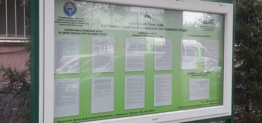 informatsionnyj-stend-orhusskogo-tsentra-bishkek